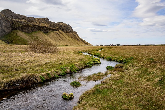 Stream